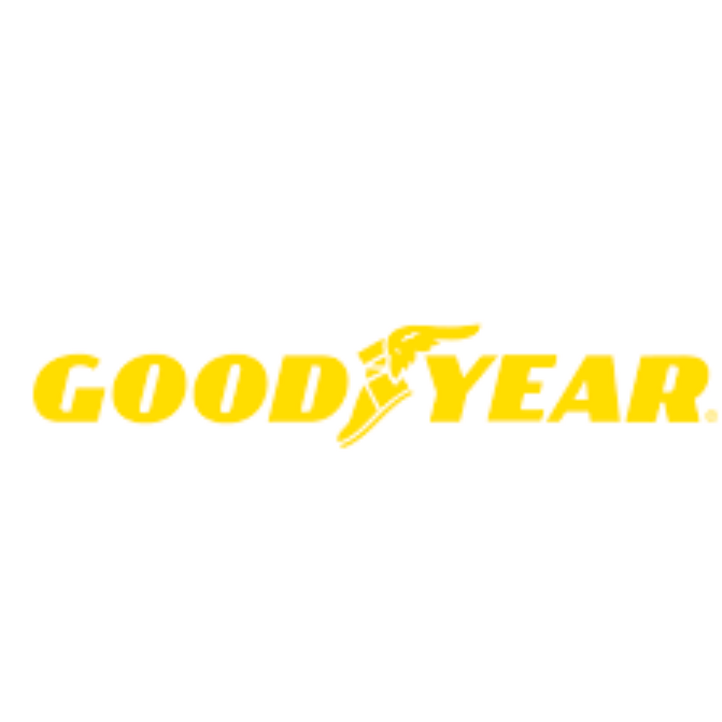 GOODYEAR FLIGHT EAGLE 5,00-5 10 PLY